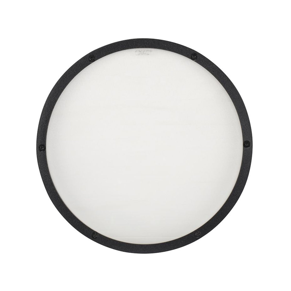 American DJ ELP18L1X40 1x40 Degree Beam Angle Frost Filter 4 Encore LP18IP Light