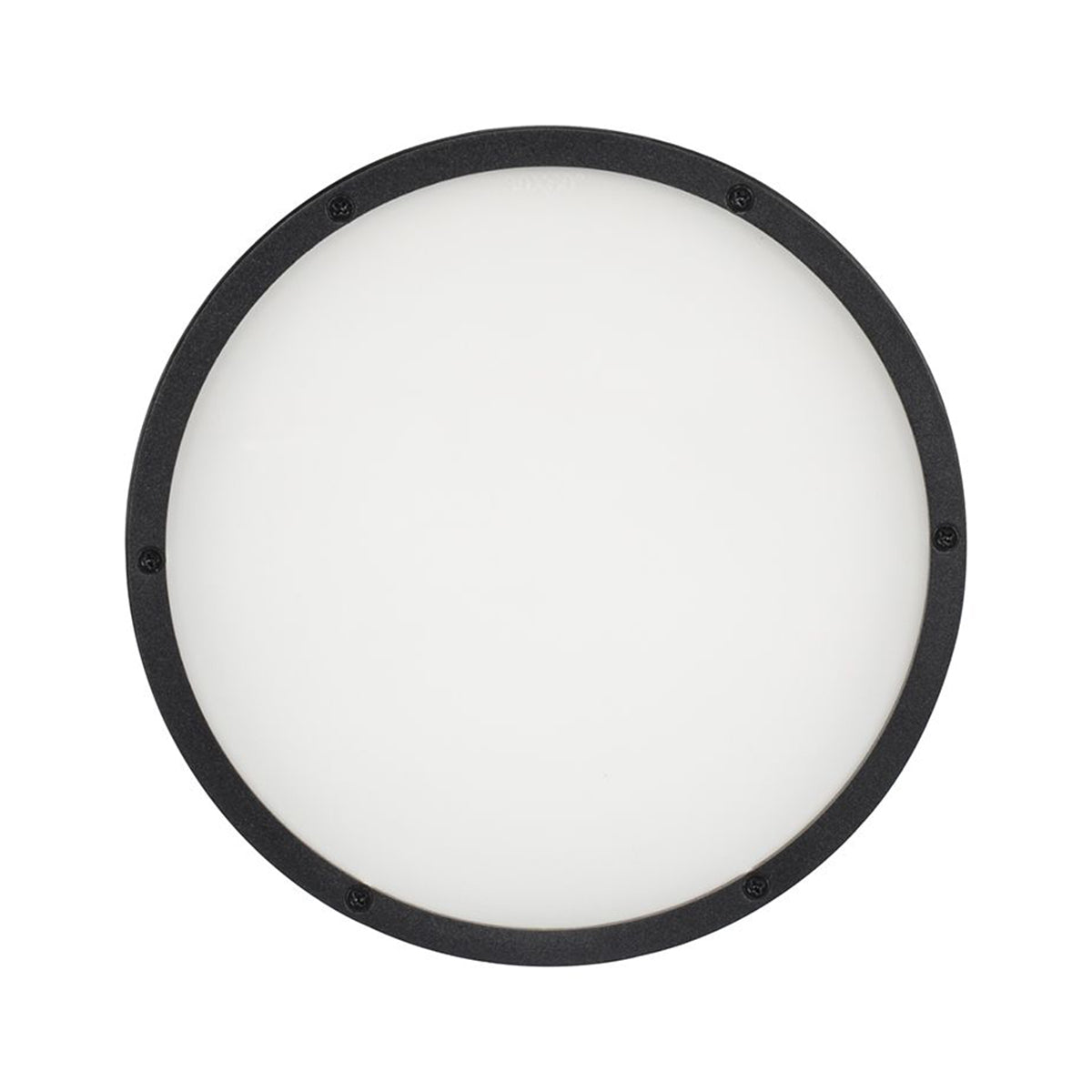 ELP18L30X60