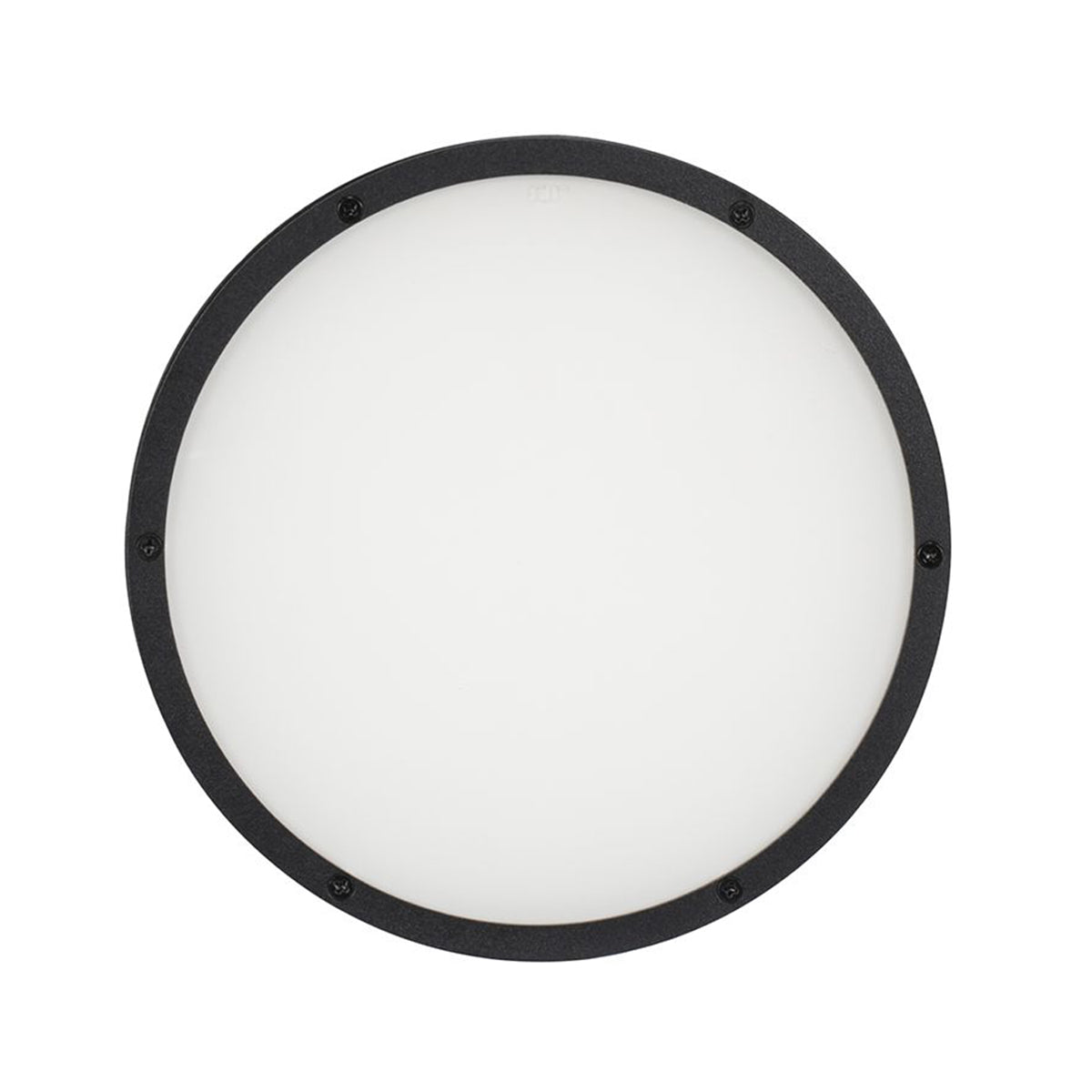 American DJ ELP18L60 60° Degree Beam Angle Frost Filter For Encore LP18IP Light