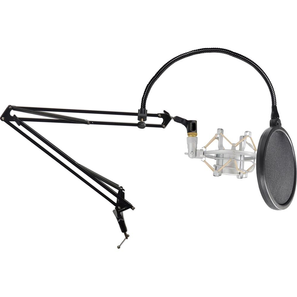 DMS40 + Pop Filter + Silver Shock Mount Bundle