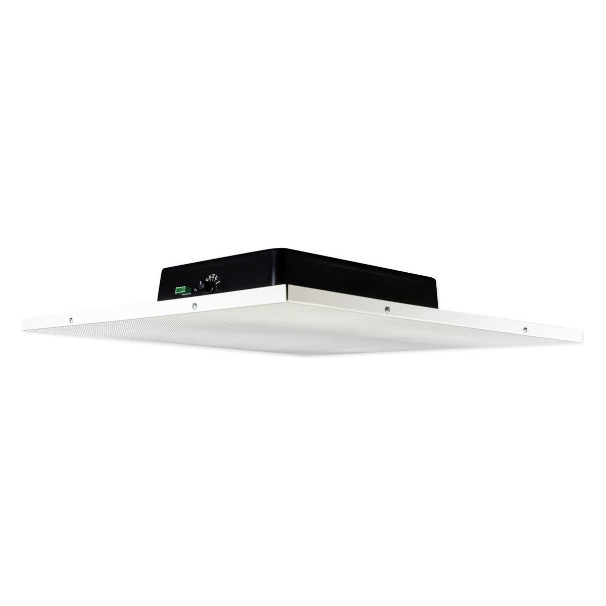 DCS8T 4-Pack