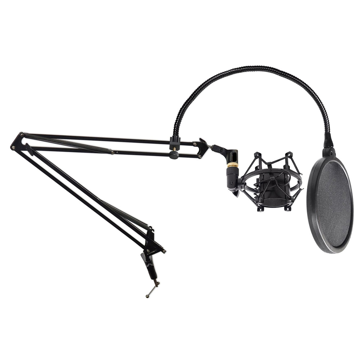 DMS40 + Pop Filter + Shock Mount Bundle