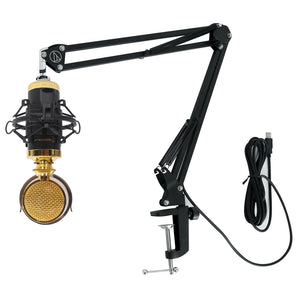 Rockville RCM02 Studio Recording Condenser Microphone+Audio Technica Boom Arm