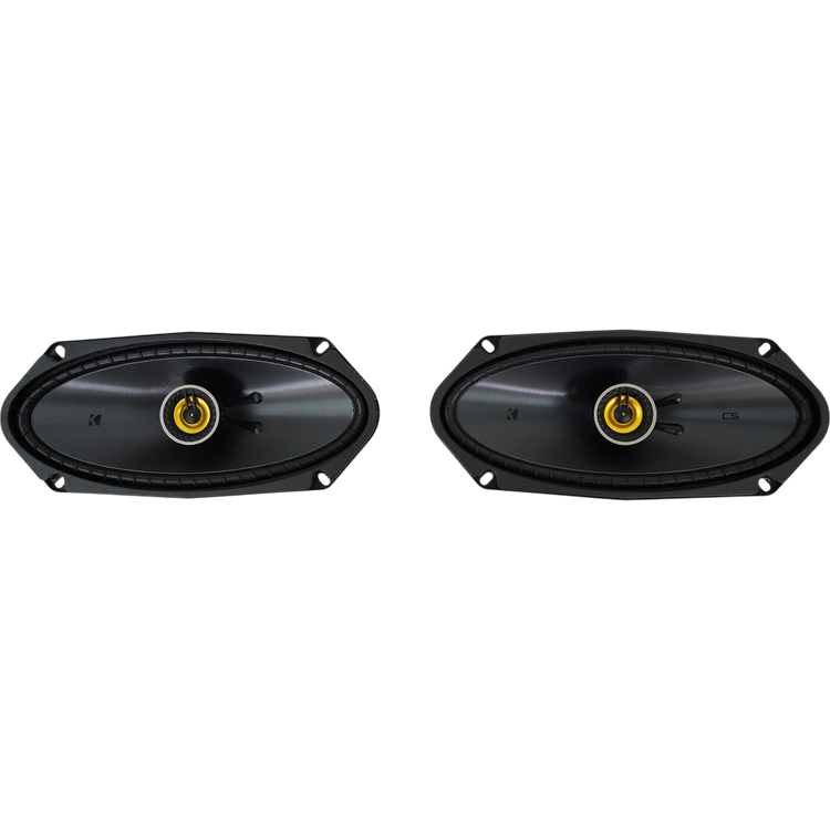 4x10" Car Speakers