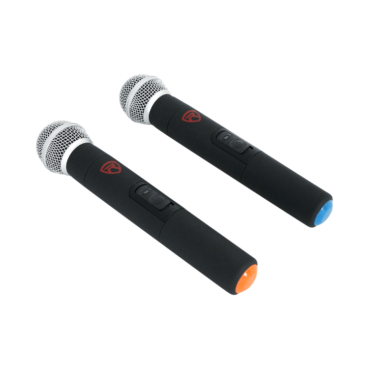 Dual Mic
