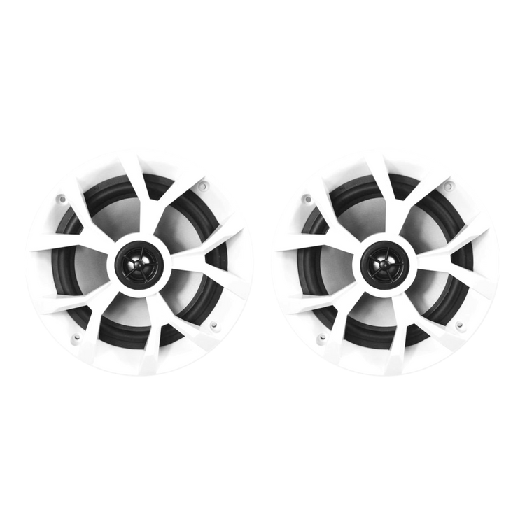 Marine 6.5"