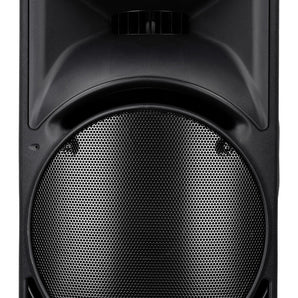 Mackie C300Z Compact 12" Passive 2-Way PA Speaker or Monitor