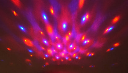 N10AR 10" Rechargeable Powered Speaker