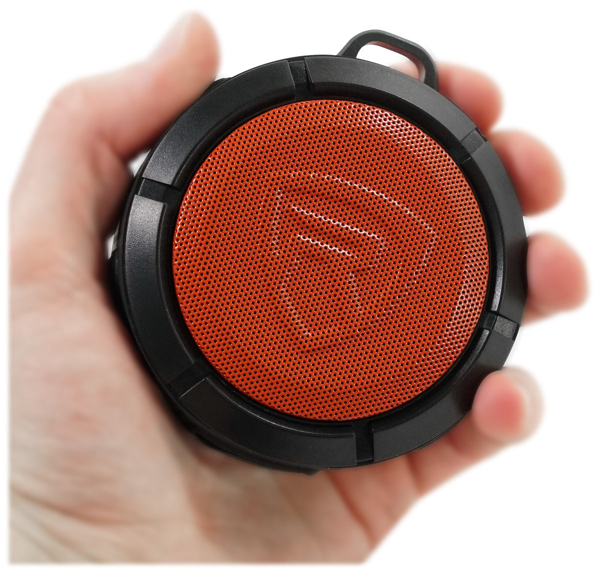 RPB1 [Used]