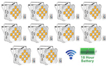 BEST PAR 60 White 10-Pack
