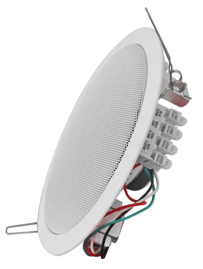 CCL5T WHITE 10 Quad-Pack