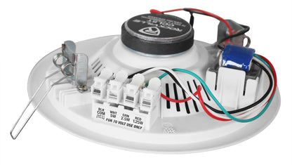 CCL5T WHITE 10 Quad-Pack