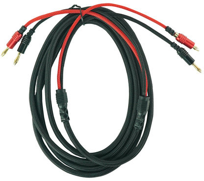 BN10 10-Pack