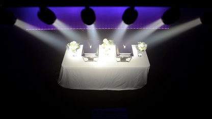 Chauvet DJ Pinspot Bar DMX w/ (6) Independantly Controlled Pinspots Lights