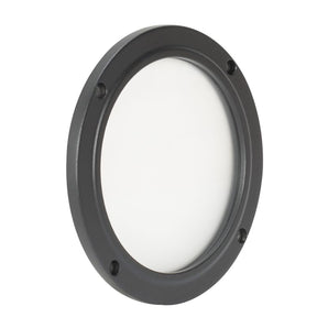 American DJ Encore LP5IP IP65 RGBL LED DMX Wash Light+20° Degree Frost Filter