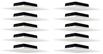 DCS8T 10-Pack