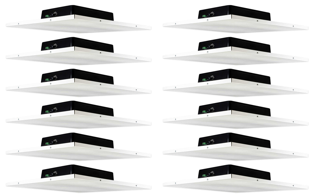 DCS8T 12-Pack