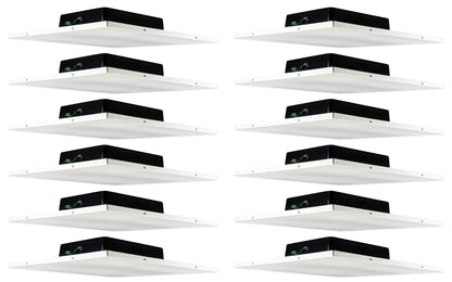 DCS8T 12-Pack