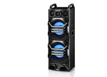 Dual 10" Passive DJ/Party Speaker