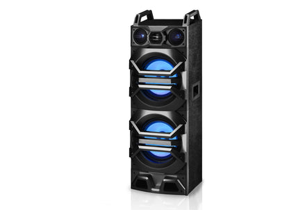 Dual 10" Passive DJ/Party Speaker