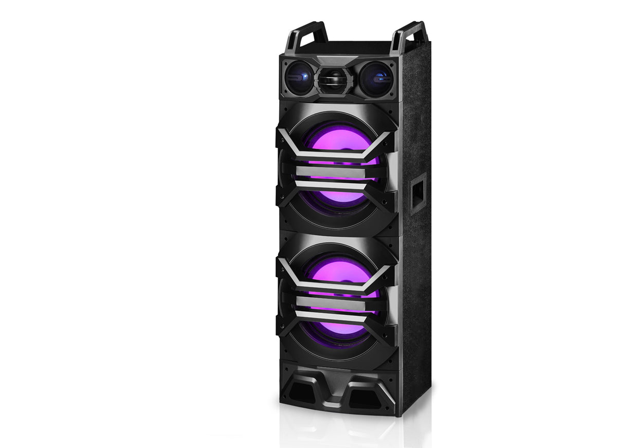 Dual 10" Passive DJ/Party Speaker