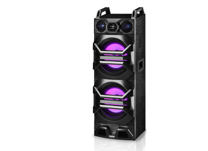 Dual 10" Passive DJ/Party Speaker