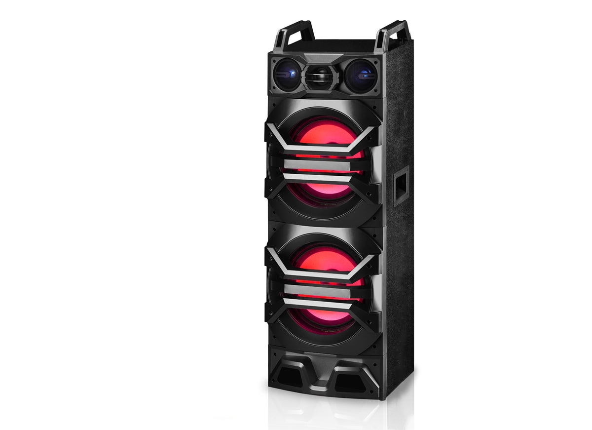 Dual 10" Passive DJ/Party Speaker