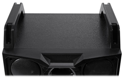 Dual 10" Passive DJ/Party Speaker
