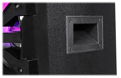 Dual 10" Passive DJ/Party Speaker