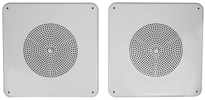MS81 12-Pair
