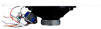 MS81 18-Pair
