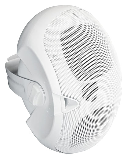 D4-70 WHITE 12-Pack