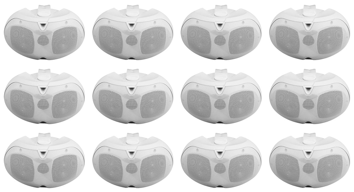 D4-70 WHITE 12-Pack