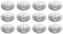 D4-70 WHITE 12-Pack
