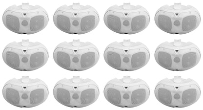 D4-70 WHITE 12-Pack