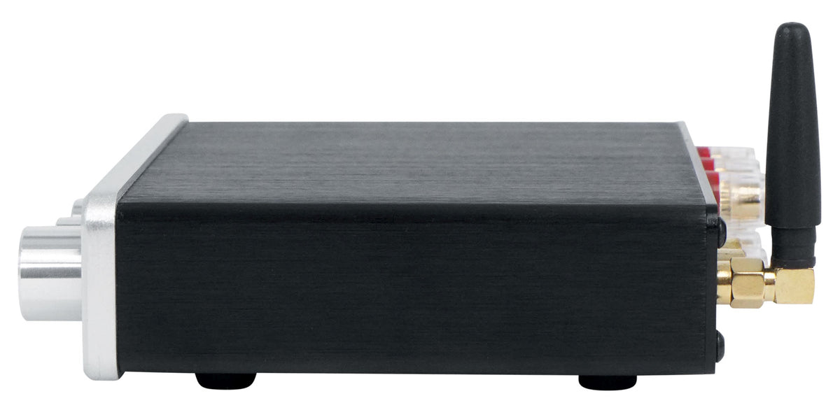 BLUAMP 21 SILVER