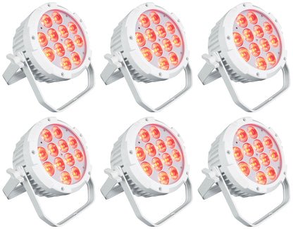 WET PAR PRO WHITE 6-Pack