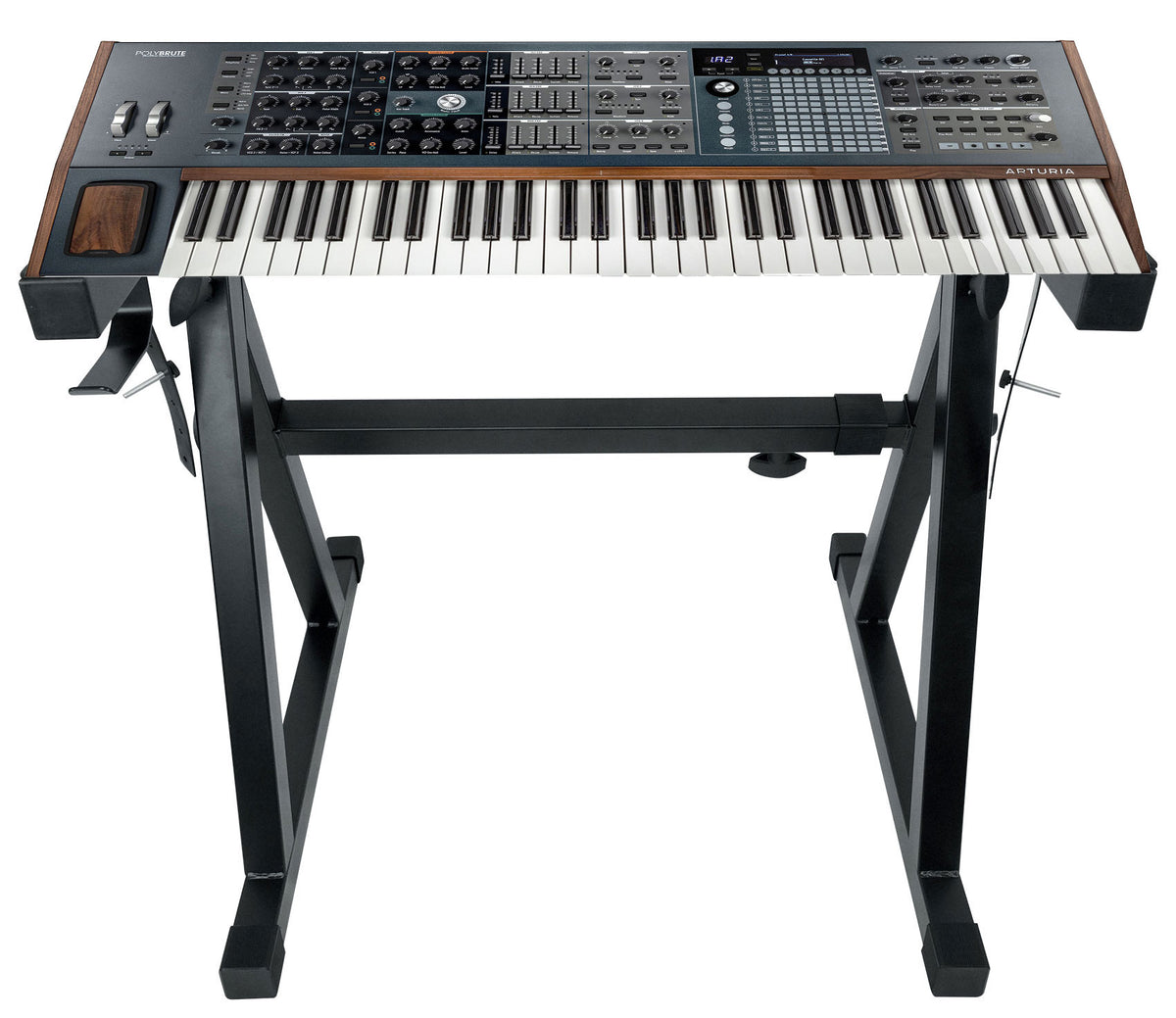 Polybrute + Z50