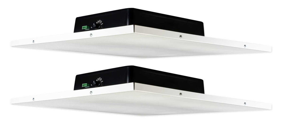 DCS8T 2-Pack [Used]