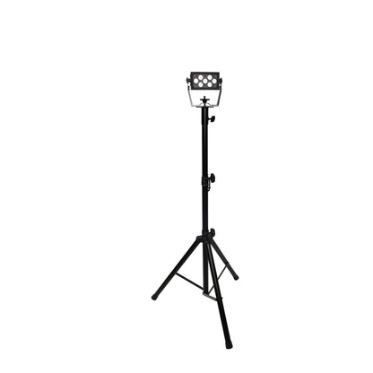 X-LS79