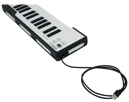 Arturia MicroLab Black Music Production USB MIDI 25-Key Keyboard Controller
