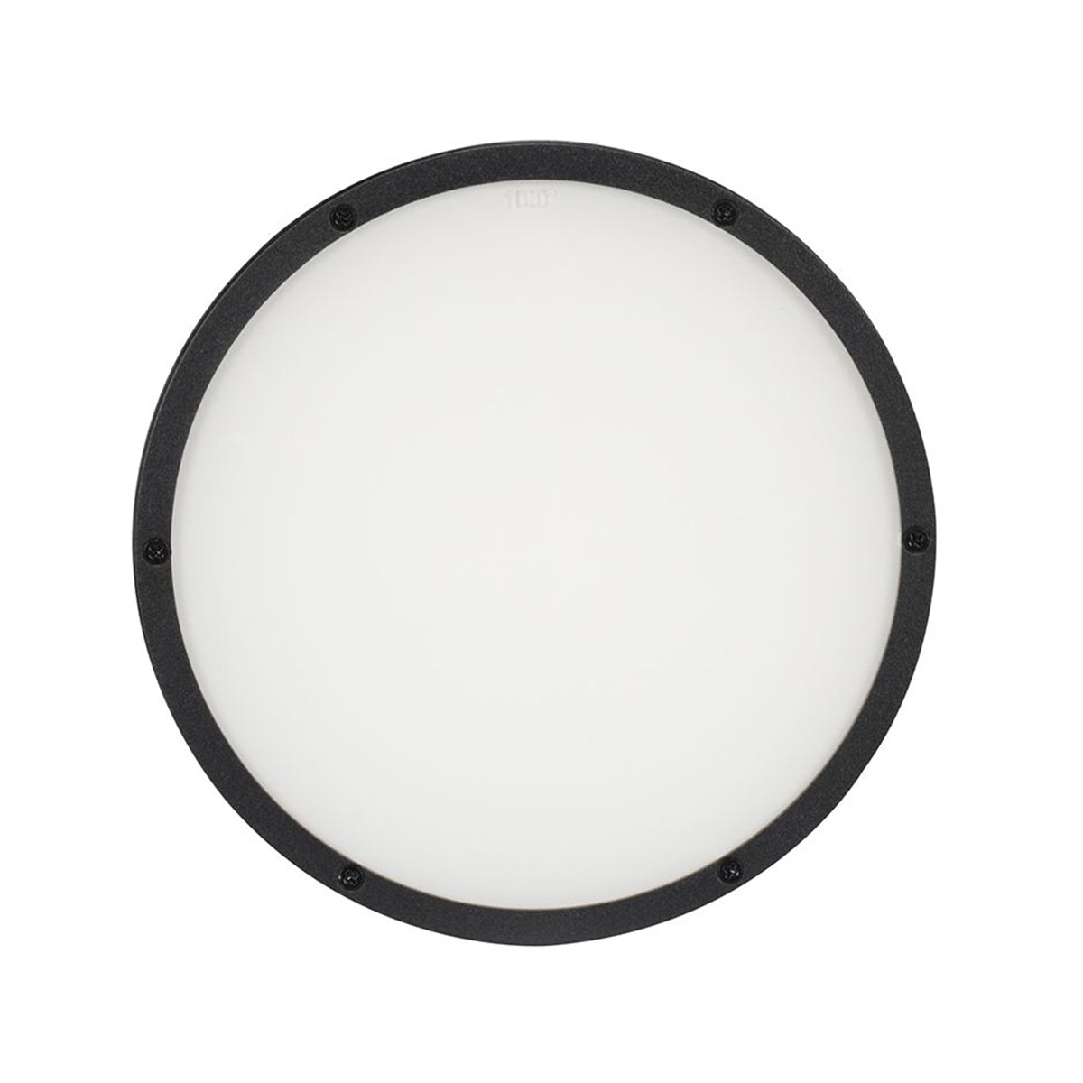 American DJ ELP18L100 100° Degree Beam Angle Frost Filter For Encore LP18IP