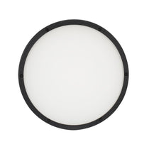 American DJ ELP18L100 100° Degree Beam Angle Frost Filter For Encore LP18IP