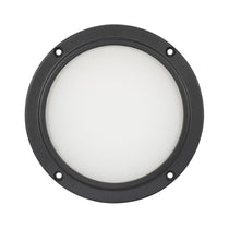 American DJ ELP5L100 100° Degree Beam Angle Frost Filter For Encore LP5IP Light