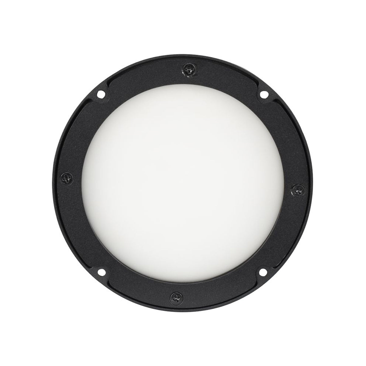 American DJ ELP5L30X60 30x60 Degree Beam Angle Frost Filter 4 Encore LP5IP Light