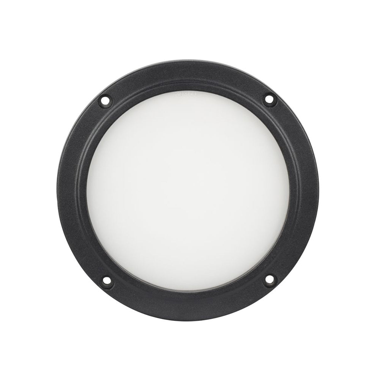 American DJ ELP5L30X60 30x60 Degree Beam Angle Frost Filter 4 Encore LP5IP Light