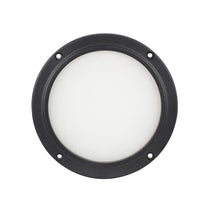 American DJ ELP5L30X60 30x60 Degree Beam Angle Frost Filter 4 Encore LP5IP Light