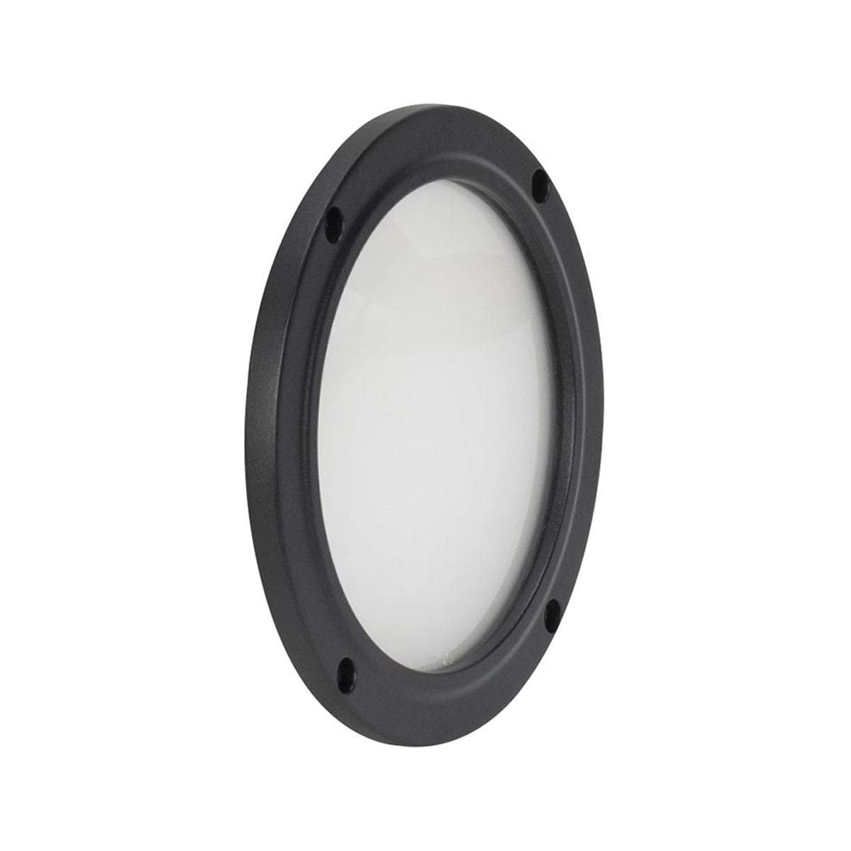 American DJ ELP5L30X60 30x60 Degree Beam Angle Frost Filter 4 Encore LP5IP Light
