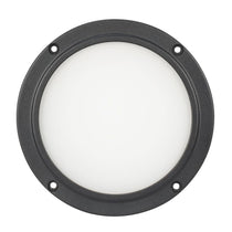 American DJ ELP5L60 60° Degree Beam Angle Frost Filter For Encore LP5IP Light