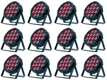 LP 12 HEX 12-Pack